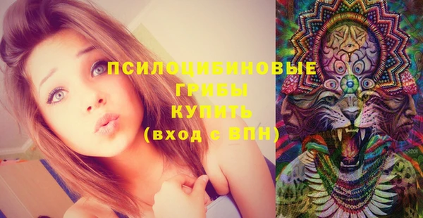 амф Вяземский