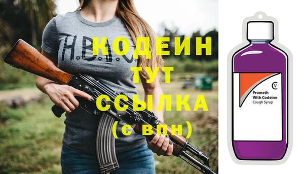 амф Вяземский