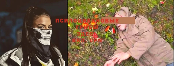 амф Вяземский