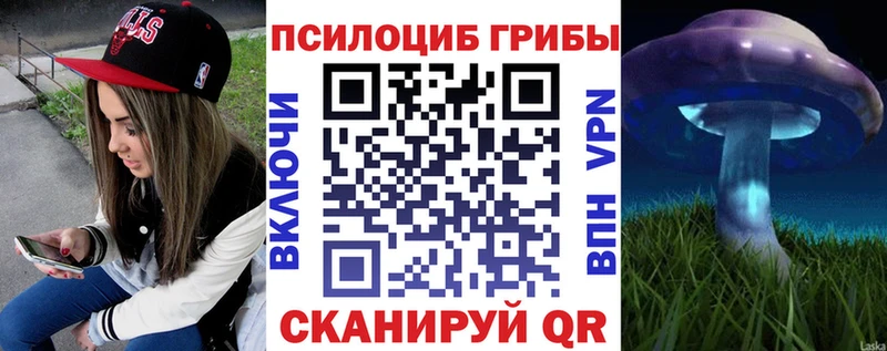 Купить где  Сусуман  Псилоцибиновые грибы Cubensis 